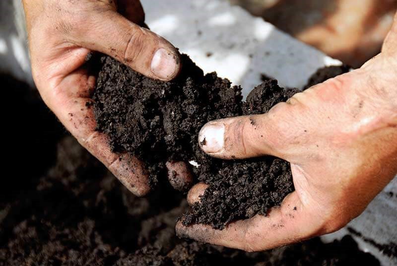 انواع کود اصلاح کننده خاک